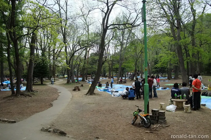 A Day in Sapporo 1