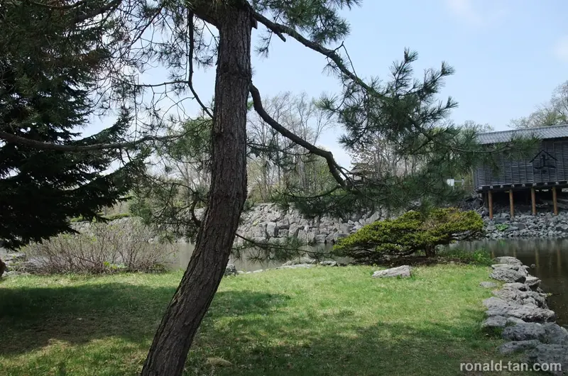 A Day in Sapporo 2