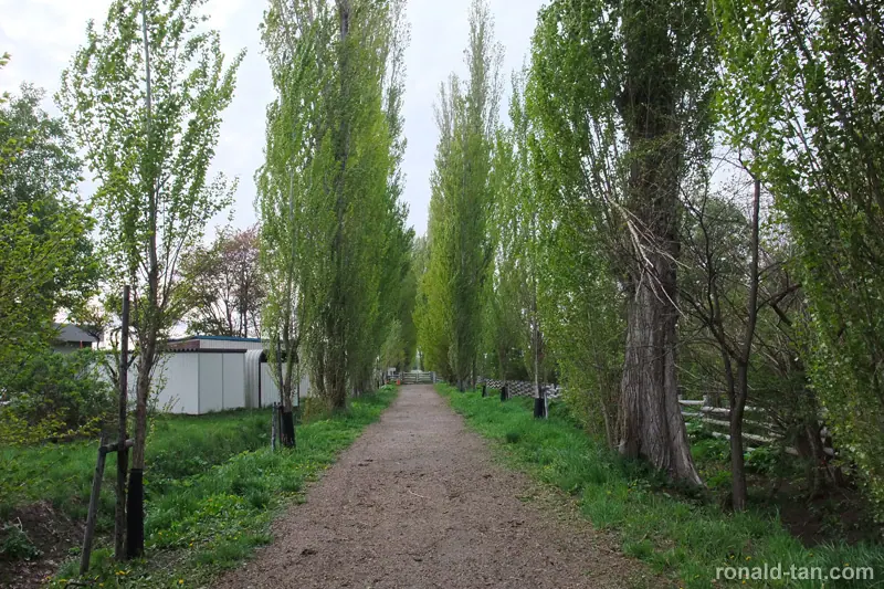 A Day in Otaru & Sapporo