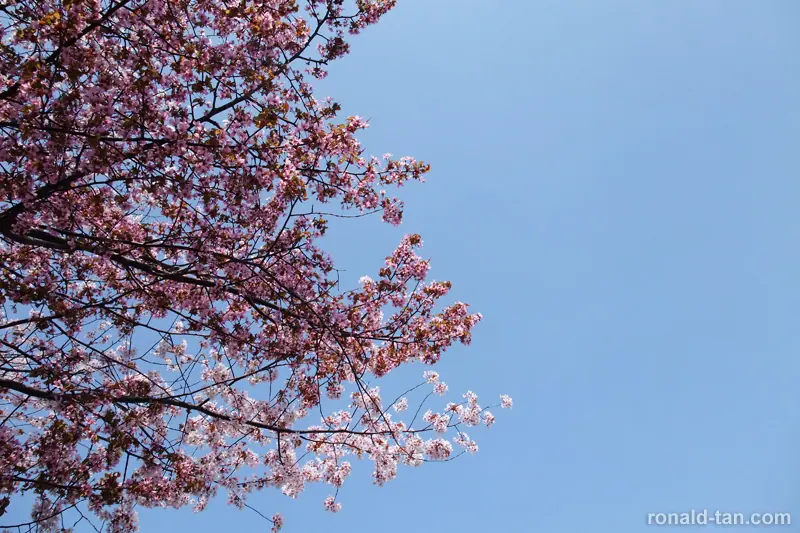 A Day in Lake Toya & Hakodate