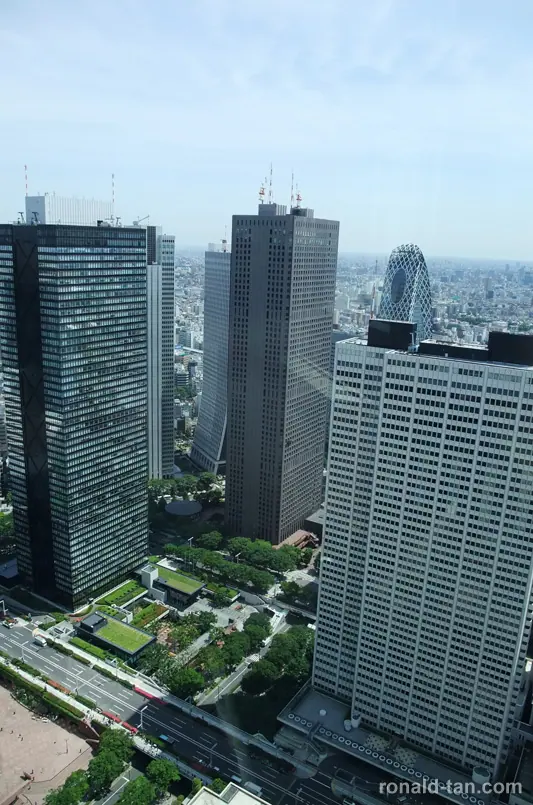 A Day in Tokyo