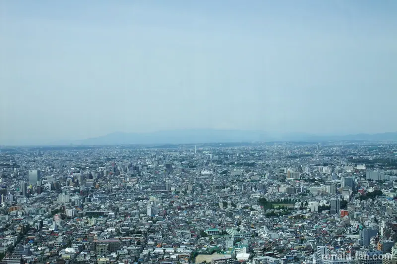 A Day in Tokyo