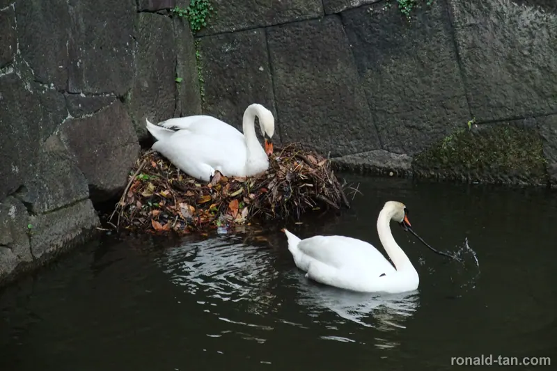 A Day in Tokyo 1