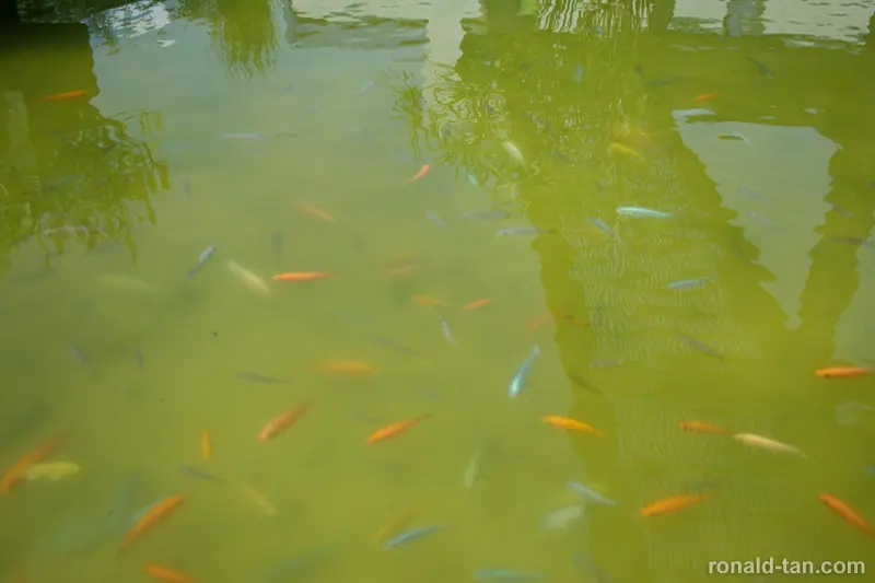 HortPark - The Gardening Hub