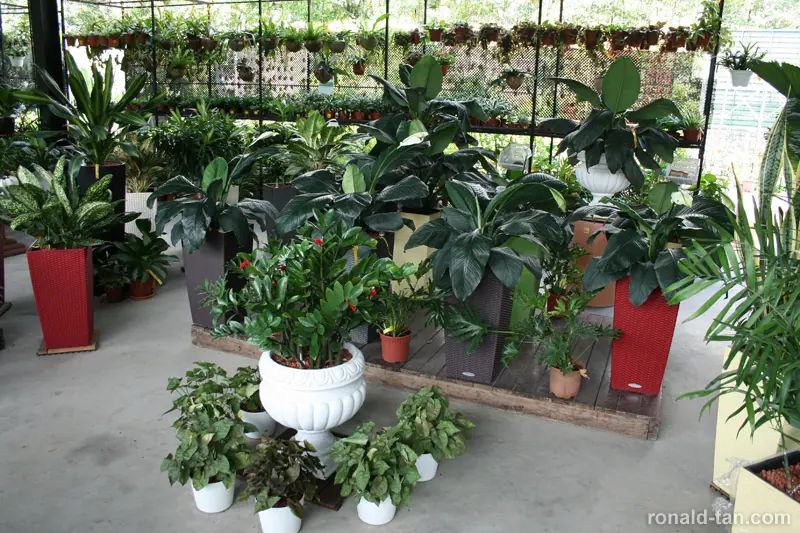 HortPark - The Gardening Hub