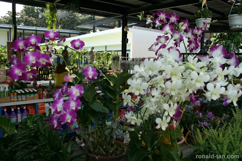 HortPark - The Gardening Hub