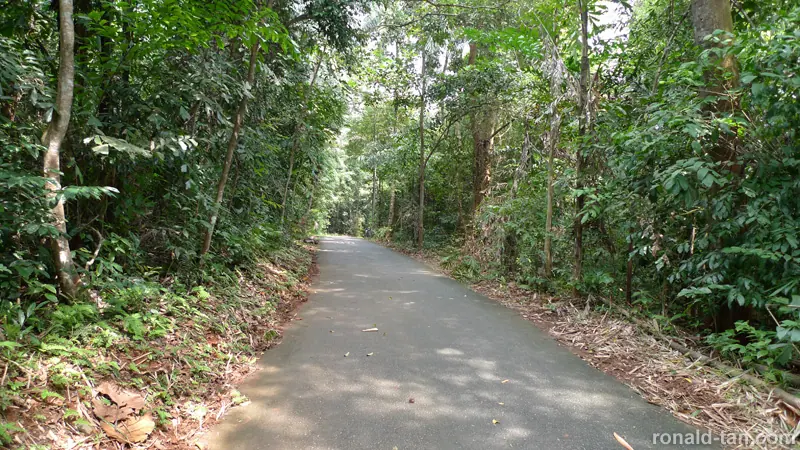 Exploring Pulau Ubin Singapore