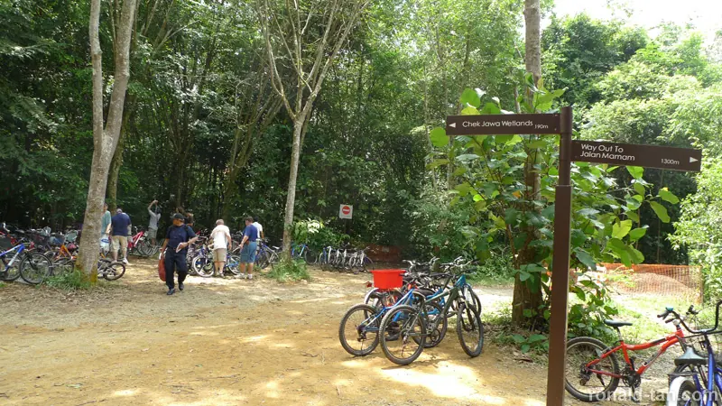Exploring Pulau Ubin Singapore