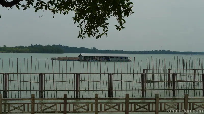 Exploring Pulau Ubin Singapore