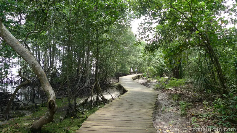 Exploring Pulau Ubin Singapore