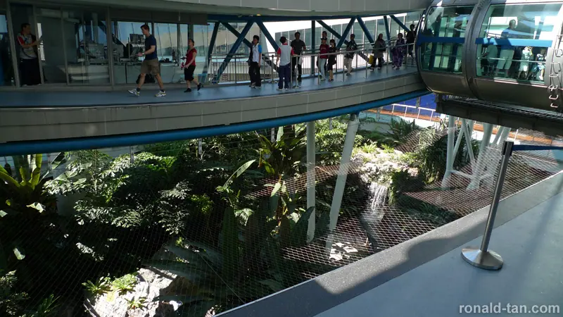 Singapore Flyer