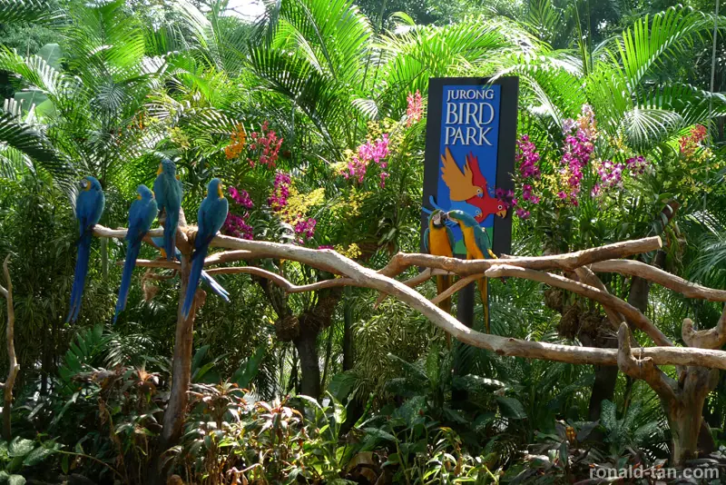 Jurong Birk Park Singapore
