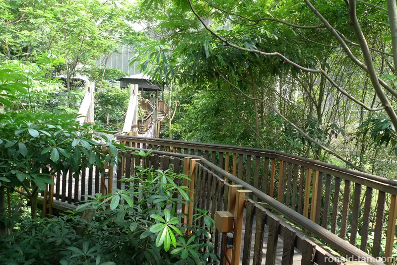 Jurong Birk Park Singapore