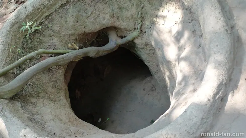 1 Day Cao Dai Temple & Cu Chi Tunnels Tour