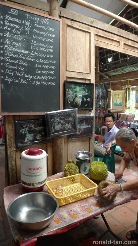 1 Day Cai Be & Vinh Long via the Mekong Delta Tour
