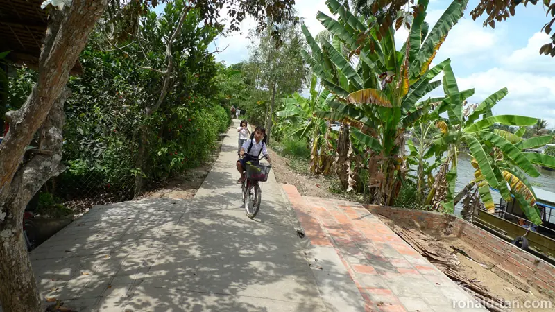 1 Day Cai Be & Vinh Long via the Mekong Delta Tour