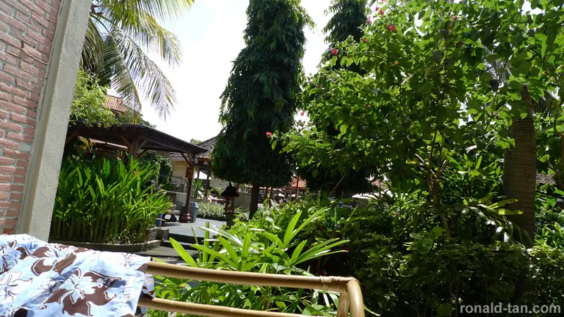 P1050062